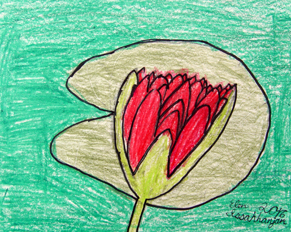 Flower