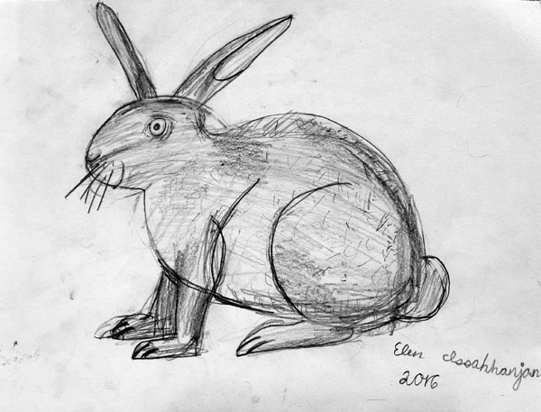 Rabbit