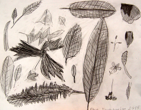 Sketches