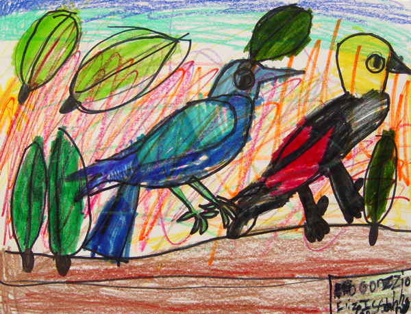 Birds