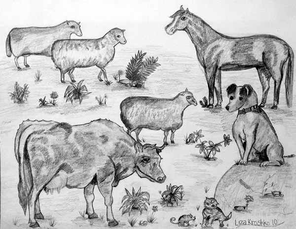 Animals_2