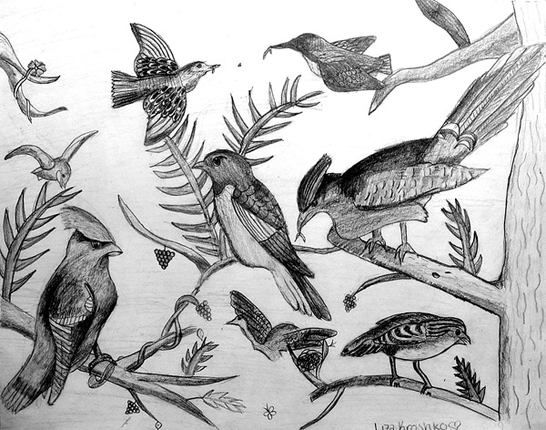 Birds