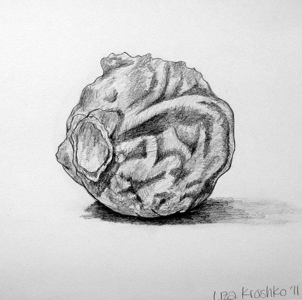 Drawing_1