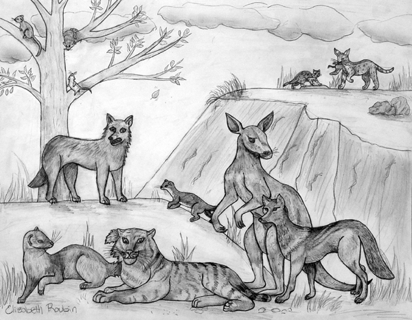 Animals_2