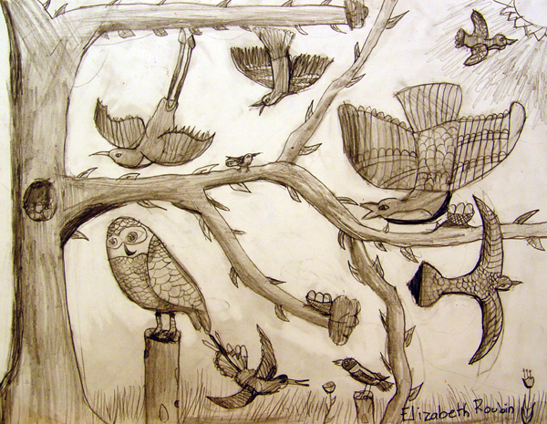 Birds