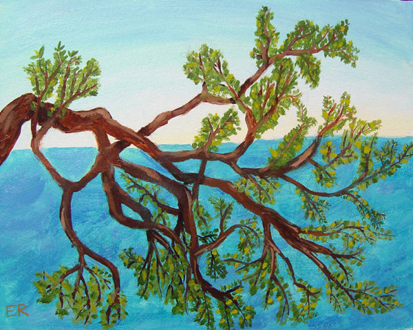 Branch