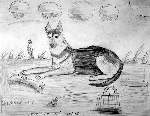 Dog_4