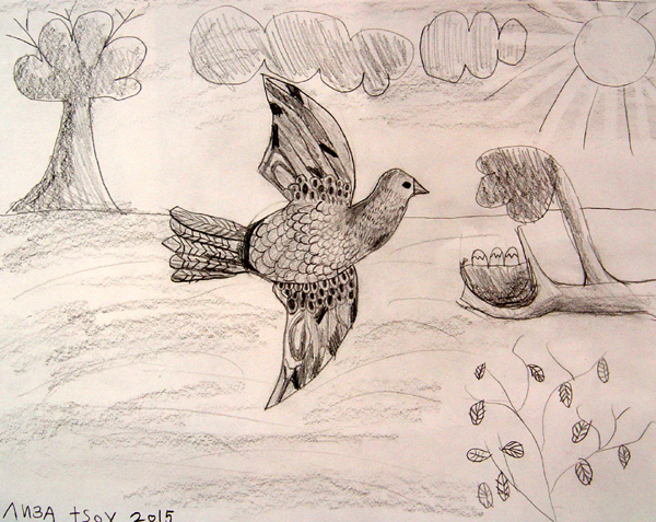 Bird