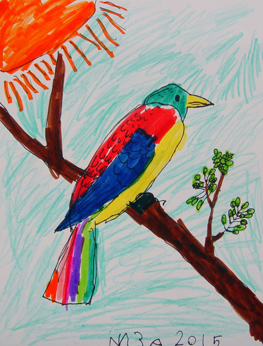 Bird