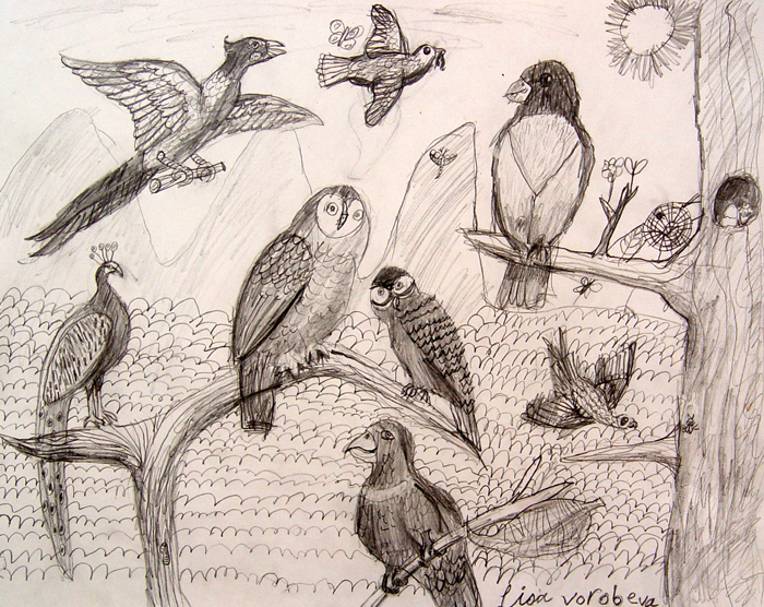 Birds