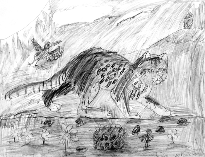 Cat_5