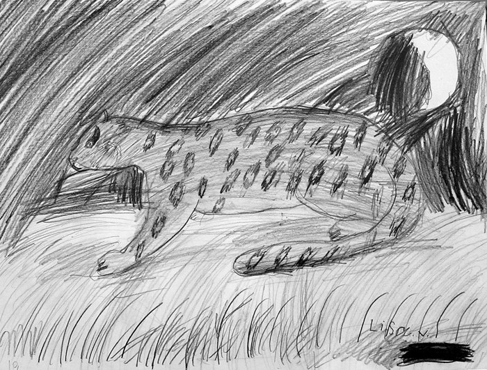 Leopard