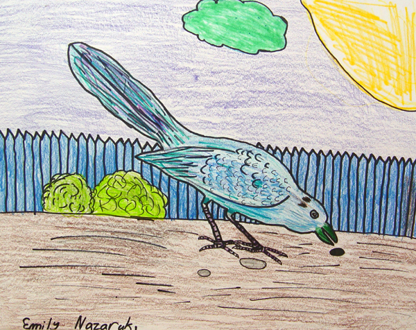 Bird_3