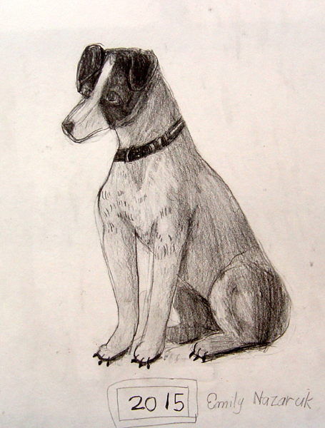 Dog