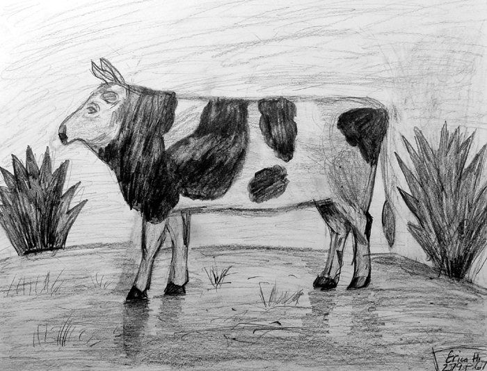 Cow