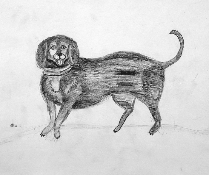 Dog