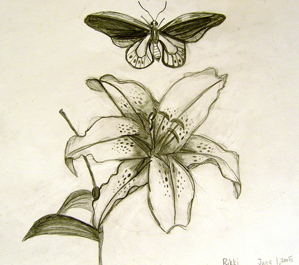 A-flower_and_a_butterfly