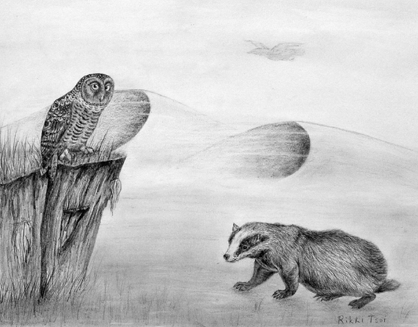 Animals_2