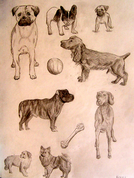 Dogs