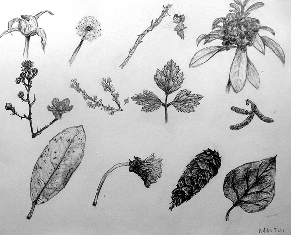 Sketches