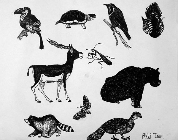Sketches_(animals)_pen