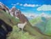 Landscape_2