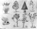 Sketches_(trees)