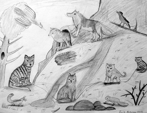 Animals