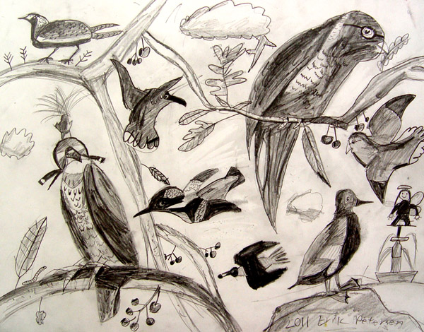 Birds