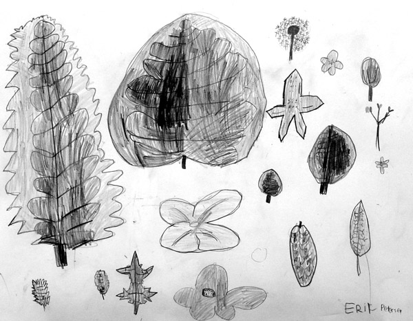 Leafes
