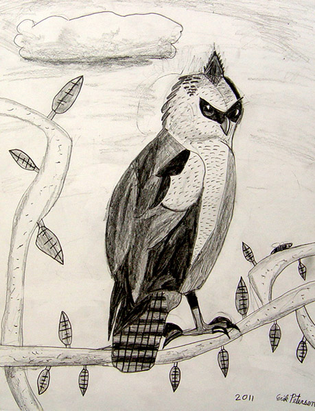 Owl