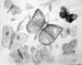 Sketches_2
