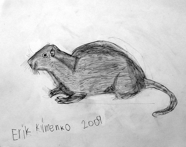 Animal_1_(tone_drawing)