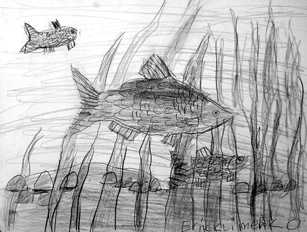 Fish