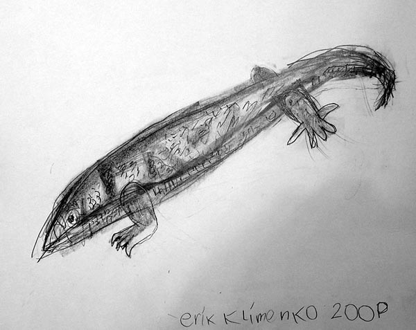 Lizard