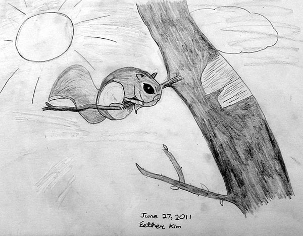 Squirrel