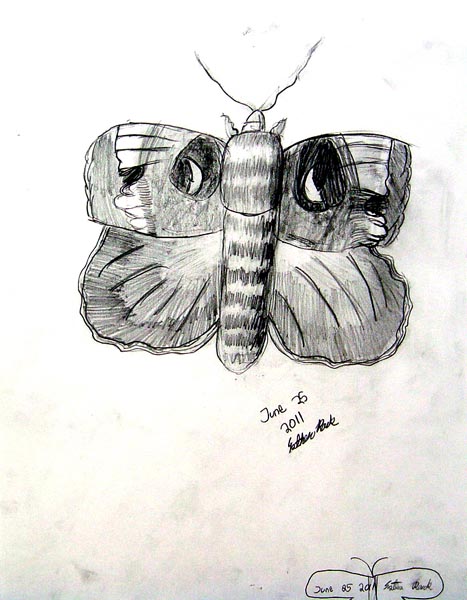 Butterfly