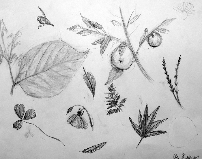 Sketches