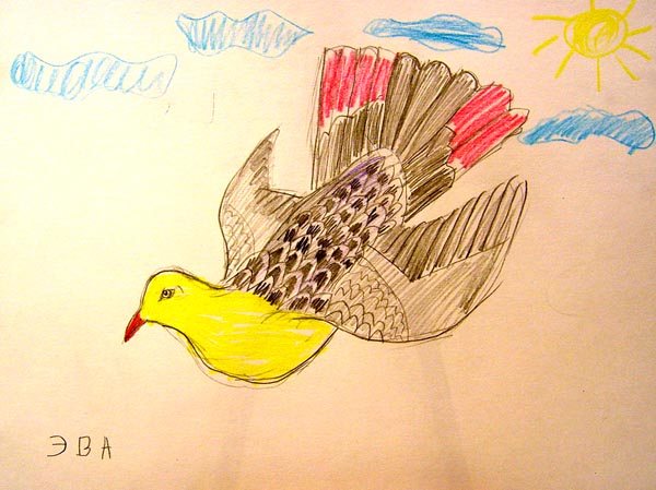 Bird