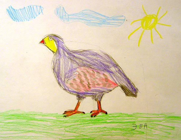 Bird_1