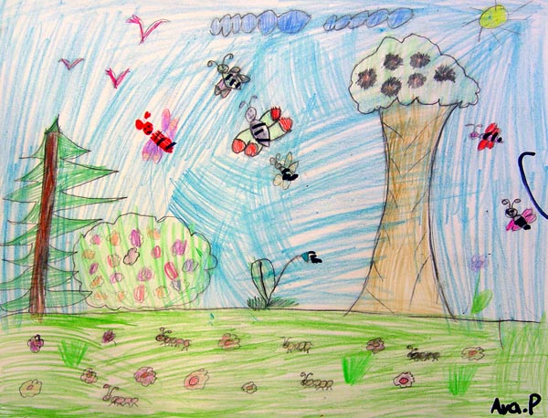 Butterflys_1