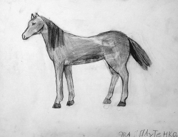 Horse