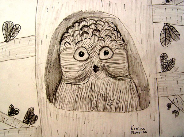 Owl