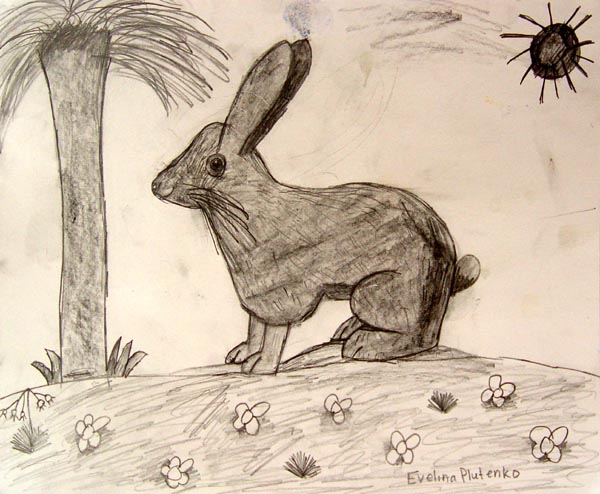 Rabbit_2