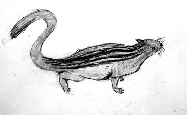 Squirrel