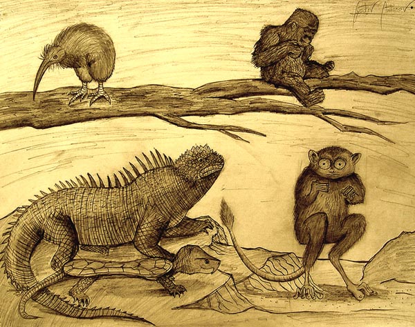 Animals