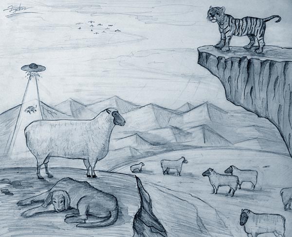 Animals_1