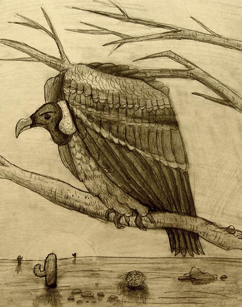 Bird_1