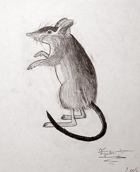 Mouse