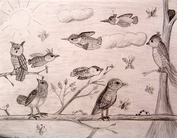 Birds